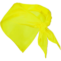 Customizable Triangular Bandana with Logo | Men and Women