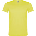 T-Shirt Akita
