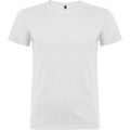 Beagle T-Shirt