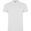 Polo Star
